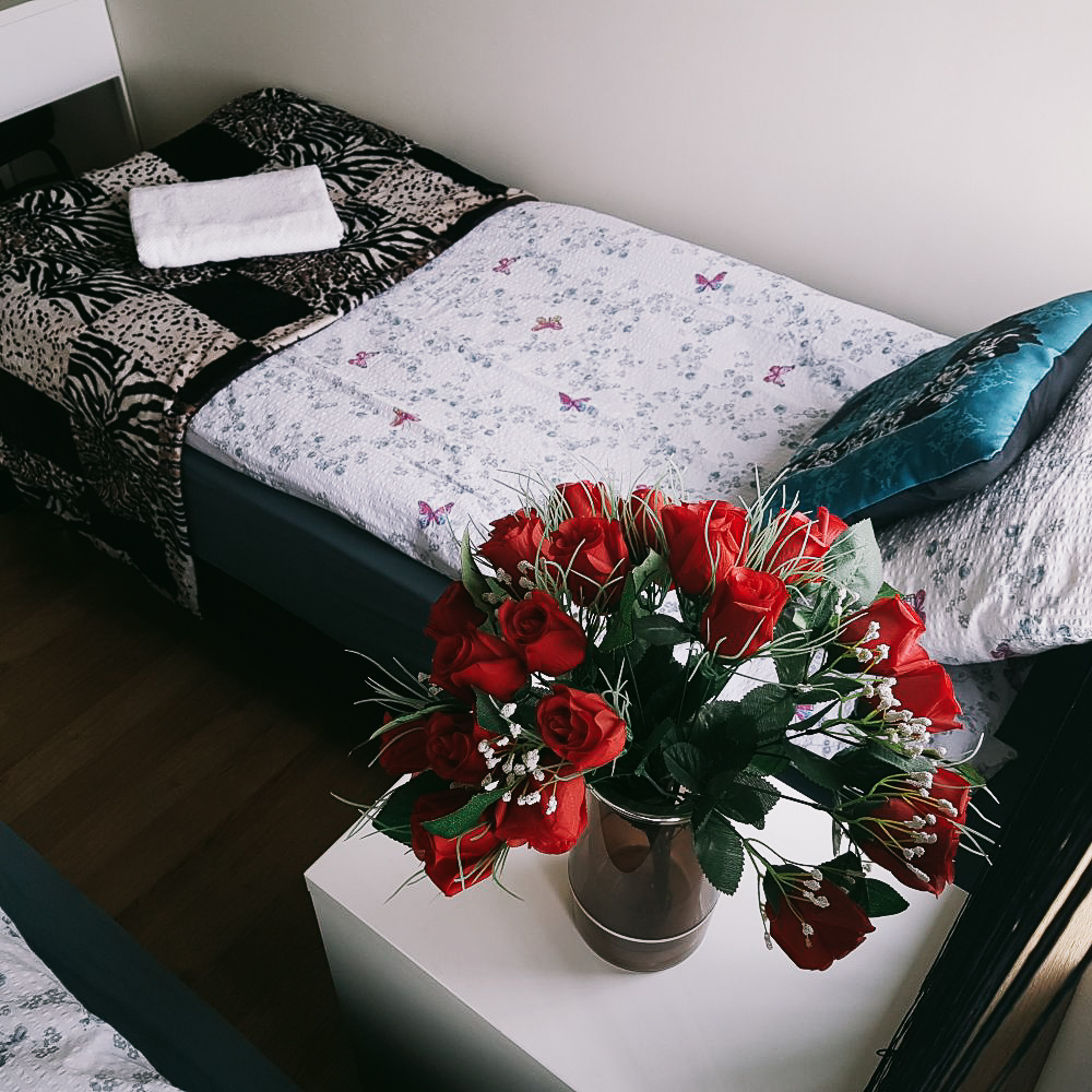 Rooms for Rent South Iceland